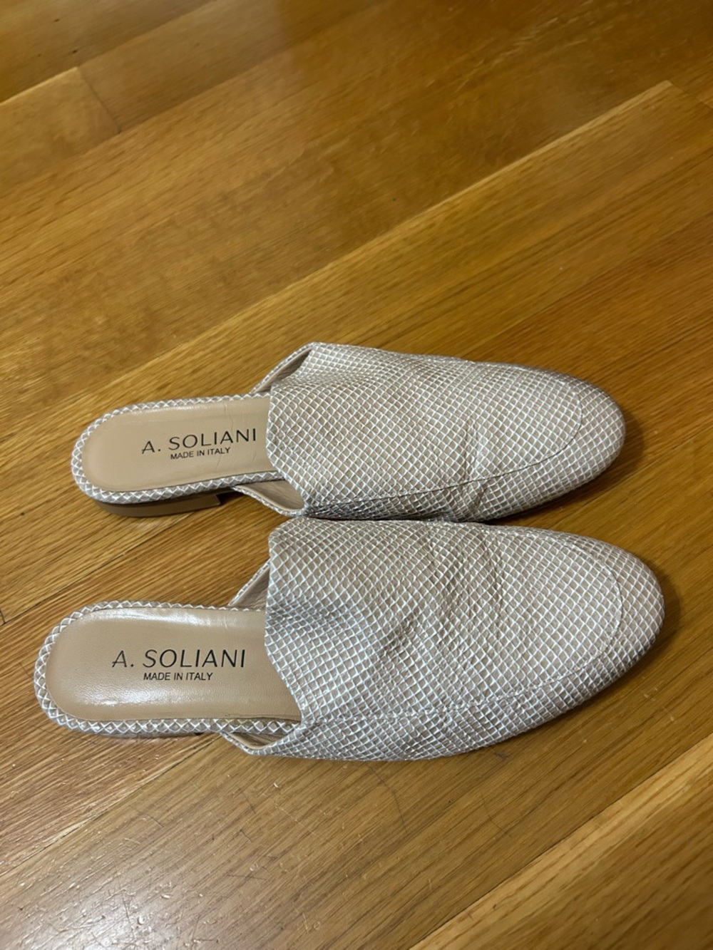 Asoliani Alba Mules